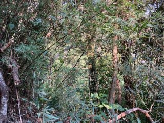 Imagem do imóvel TE76051