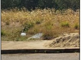 Imagem do imóvel TE78332