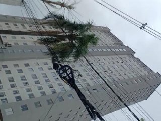 Imagem do imóvel AP64568