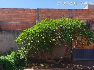 Imagem do imóvel CA19206