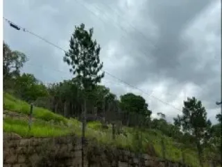 Imagem do imóvel TE99013