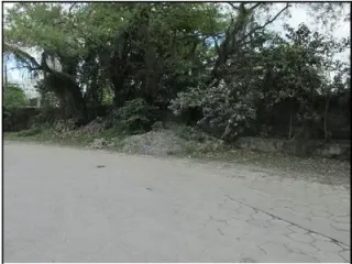 Imagem do imóvel TE02407