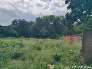 Imagem do imóvel TE96391