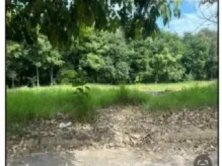 Imagem do imóvel TE06797