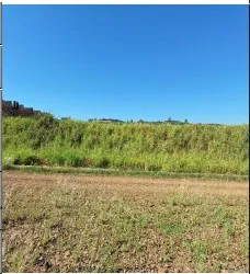 Imagem do imóvel GL99717